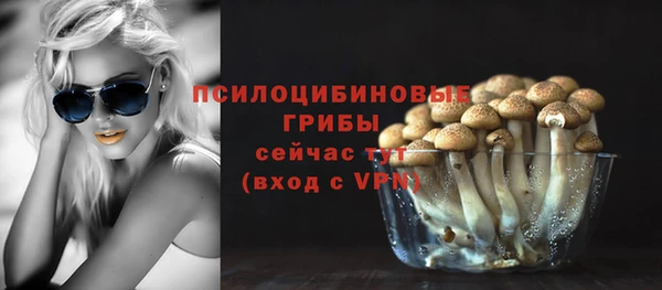 тгк Арсеньев