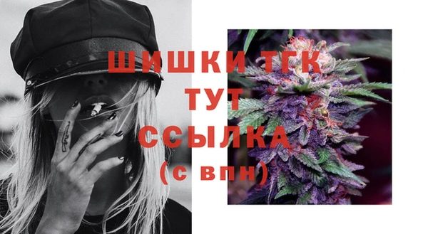 тгк Арсеньев