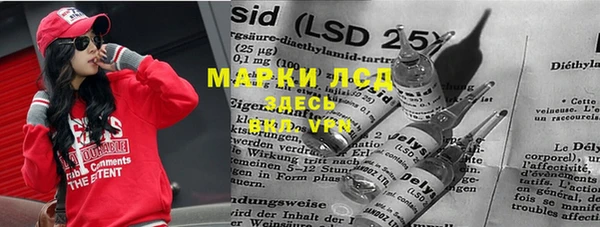 ГАЛЛЮЦИНОГЕННЫЕ ГРИБЫ Аркадак